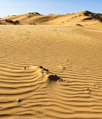 Dalanzadgad - Gateway to the Gobi